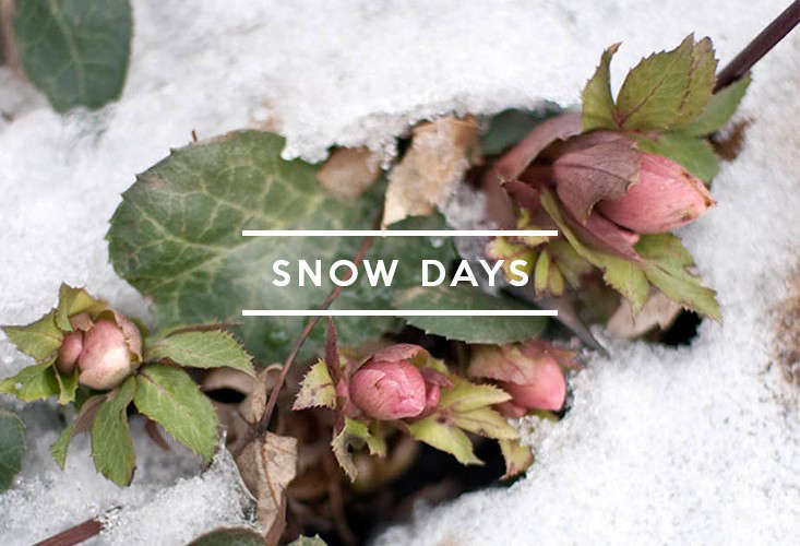 TableofContents:SnowDays-Gardenista