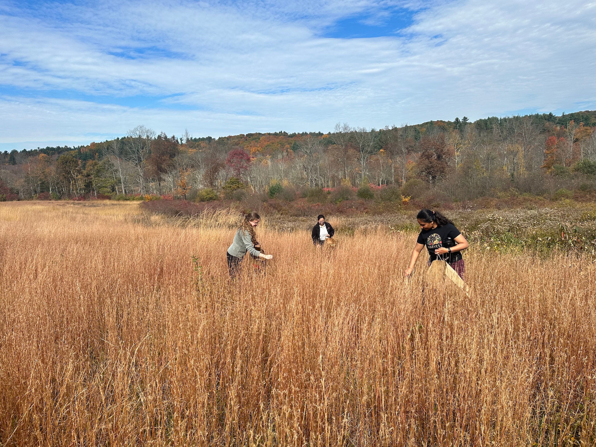 HilltopHanoverFarm:SavingLocalNativeSeedsforaResilientFuture