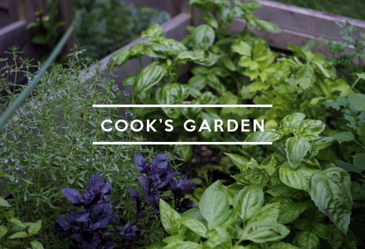 TableofContents:Cook'sGarden-Gardenista