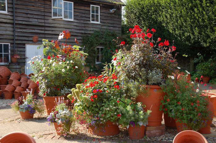 DIY:PottingUpaWhichfordPot-Gardenista