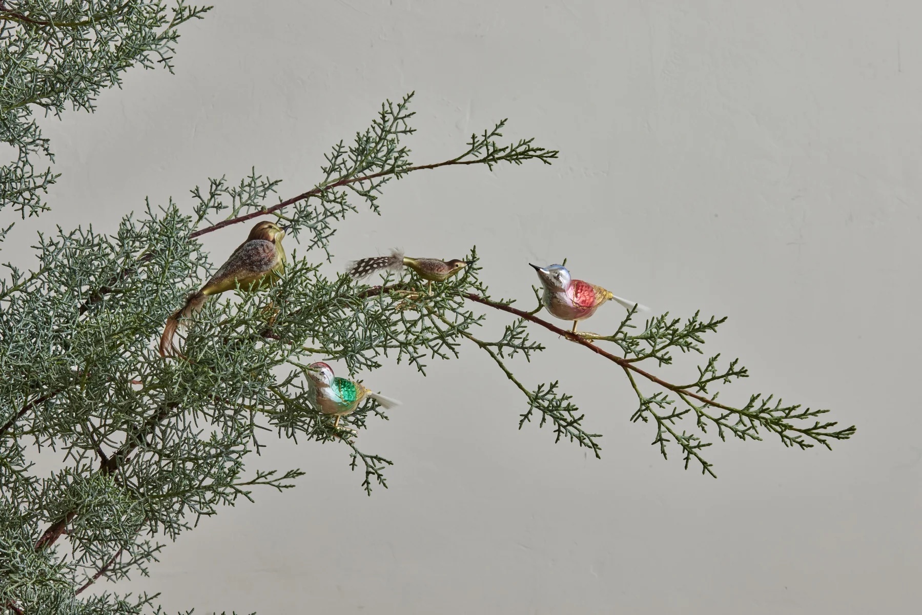 Gardenista Holiday Gift Guide 2023: Stocking Stuffers for the Gardening-Obsessed, All Under  – Gardenista
