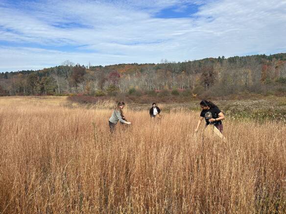 A Good Start: At Hilltop Hanover Farm, Collecting and Saving Hyper-Local Native Seeds