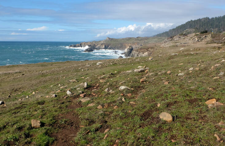 A photo of the nearby coast that the Terremoto team took as part of their research.