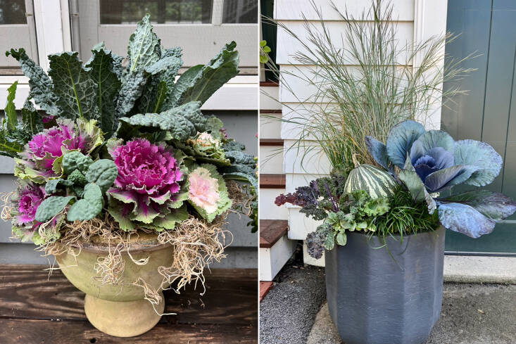 Nock proves that ornamental kales and cabbages can look super-sophisticated in a variety of compositions, including a bouquet-like design (left) and a nearly monochromatic pot that features solely shades of green (right).