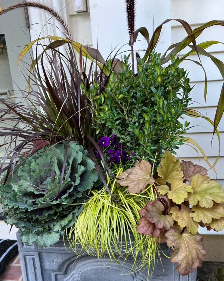 Perennials like heucheras and grasses have a place in planters.