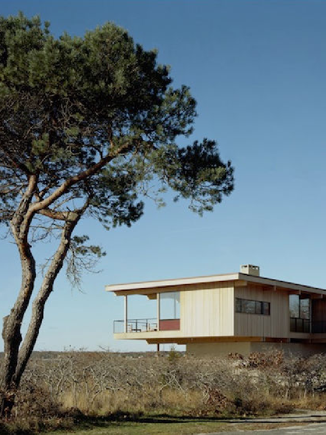 Tarmarkin Architect & Designer Visit: Cary Tamarkin and Suzanne Shaker in Shelter ...
