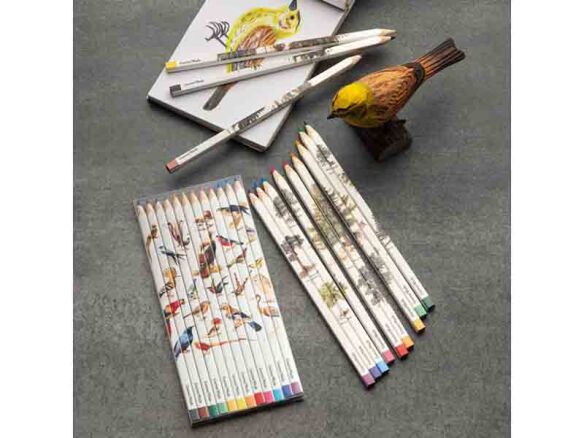 Set Of 12 Birds & Trees -Themed Color Artist Pencils