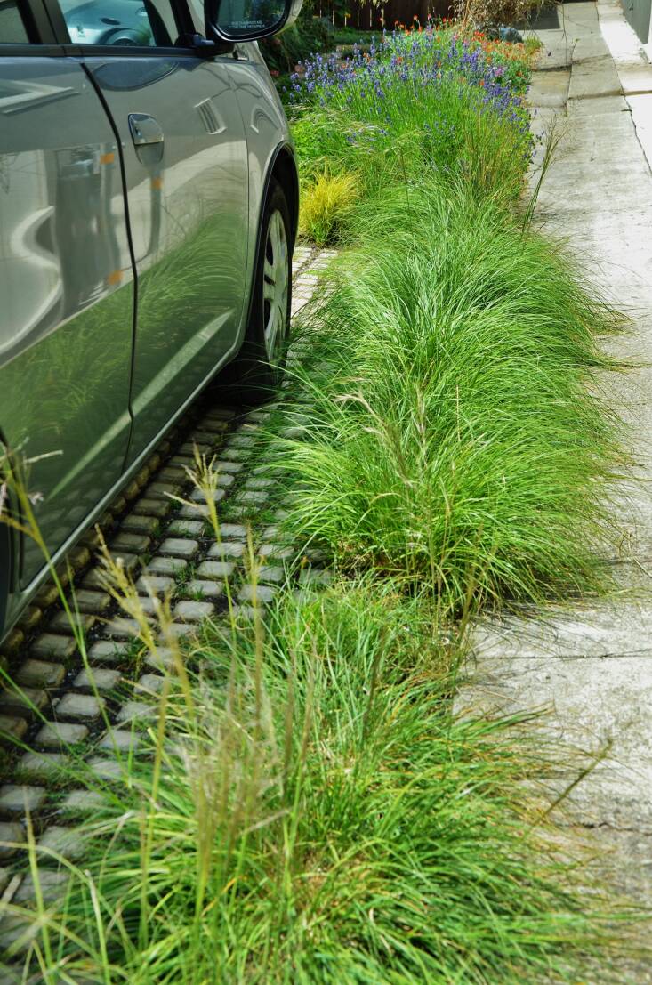 A driveway paved with grass-seeded Drivable Turf® blocks. Photograph by Teresa Norris.