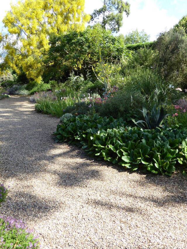 Gravel Gardens: Everything You Need to Know About Dry Gardens Web Story