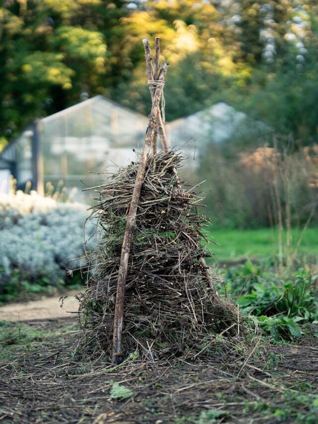 The Bug Snug: An Easy DIY Insect Habitat by OmVed Gardens Web Story