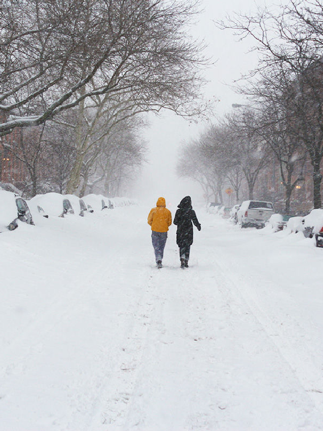 Winter Walks:15 Reasons to Experience Unexpected Benefits Web Story