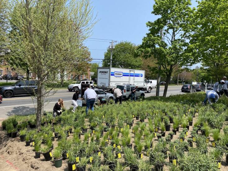The whole office came out to plant the meadow together. “We wanted everyone to have a part in the garden and I was amazed at how much fun everyone was having putting their hands in the dirt,” says Christina. “It was a bonding experience.”