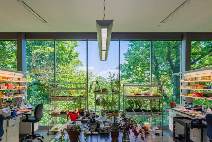 A classroom at the New York Botanical Garden.