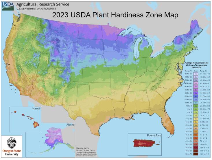 To use the 2023 USDA Hardiness Zone Map, simply find your area on the map by entering your zip code. From there you will see what zone you’re in and can select perennial plants that should survive the winter in your area.