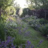 A Garden from Scratch: How to Build a Strong Foundation