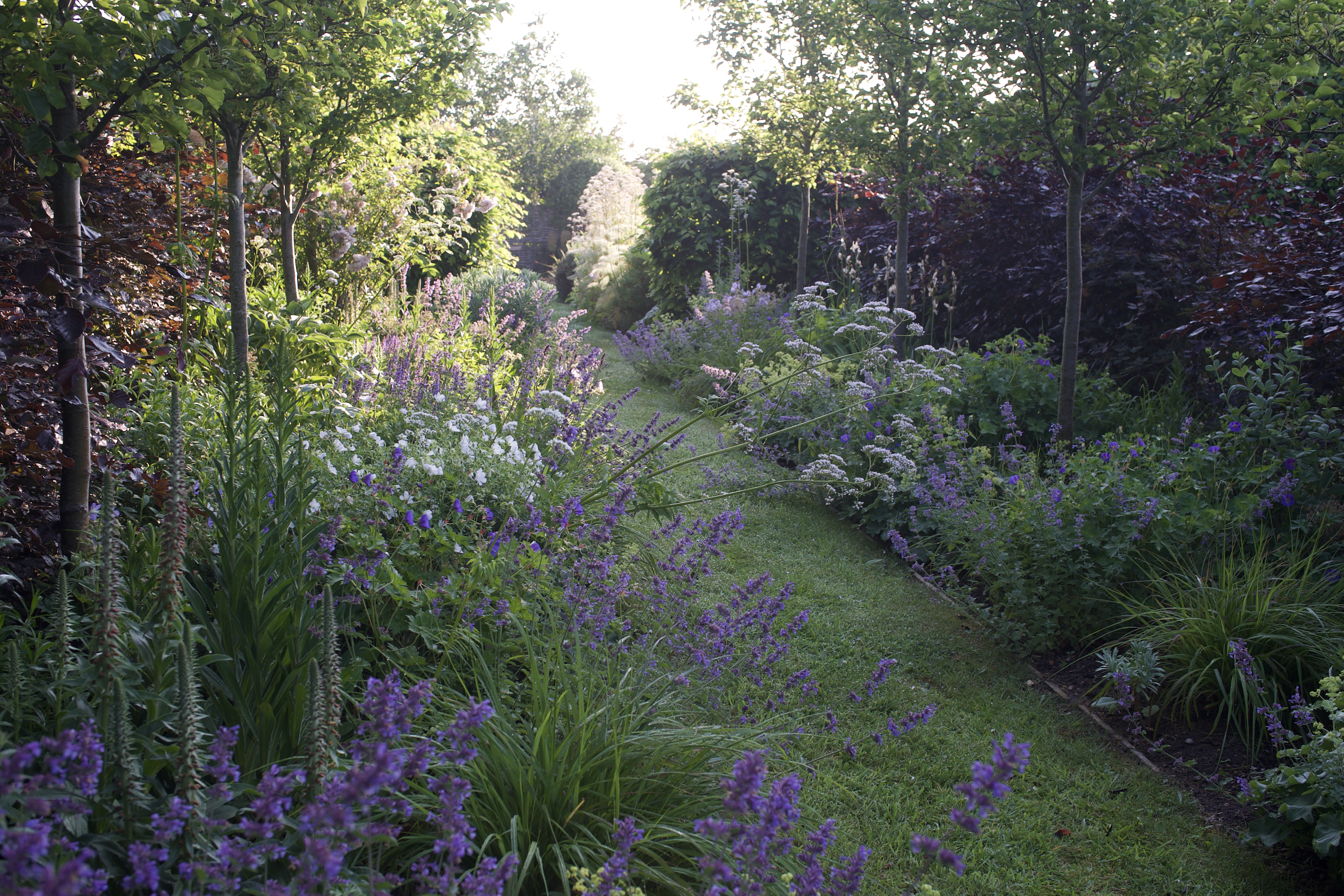 A Garden from Scratch: How to Create a Strong Foundation