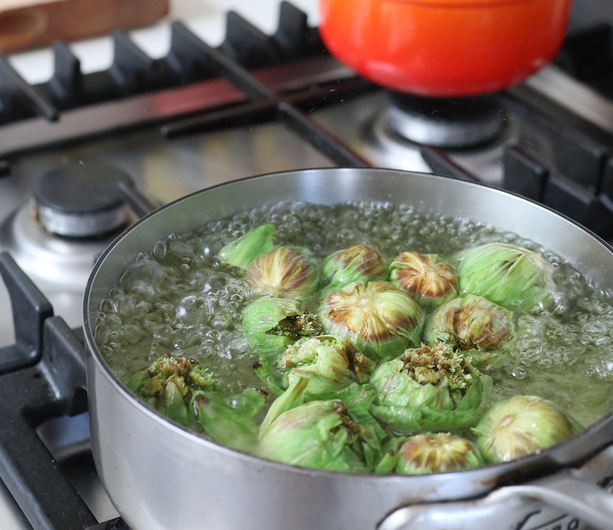 A Recipe for Fuki Buds: Butterburs Herald the Coming of Spring