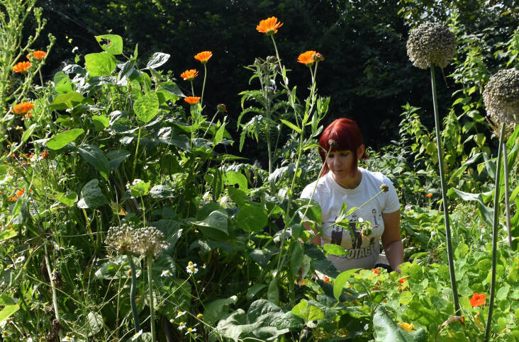 Stoddart says she’s always looking for wildlife in her vegetable garden. “Every creature has its place in a biodiverse garden.”