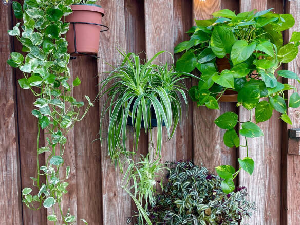 Smart Buy: RailScapes Plant Clips for Small Space Gardening