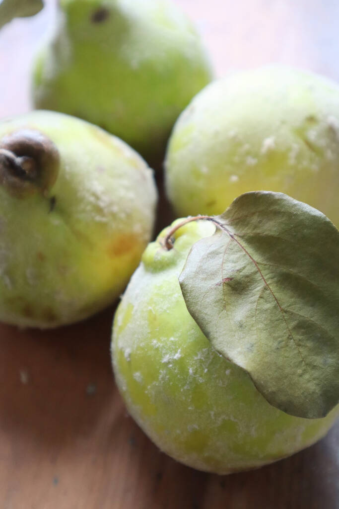 Quinces Recipes for Baked Quinces and a Quince Sambal