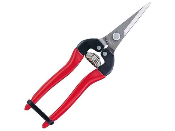 ARS HP-300LDX Stainless Steel Needle Nose Fruit Pruners