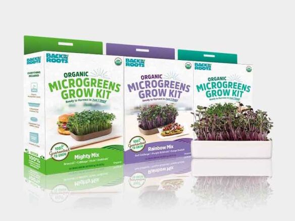 Microgreens Grow Kit (3-Pack) with Ceramic Planter