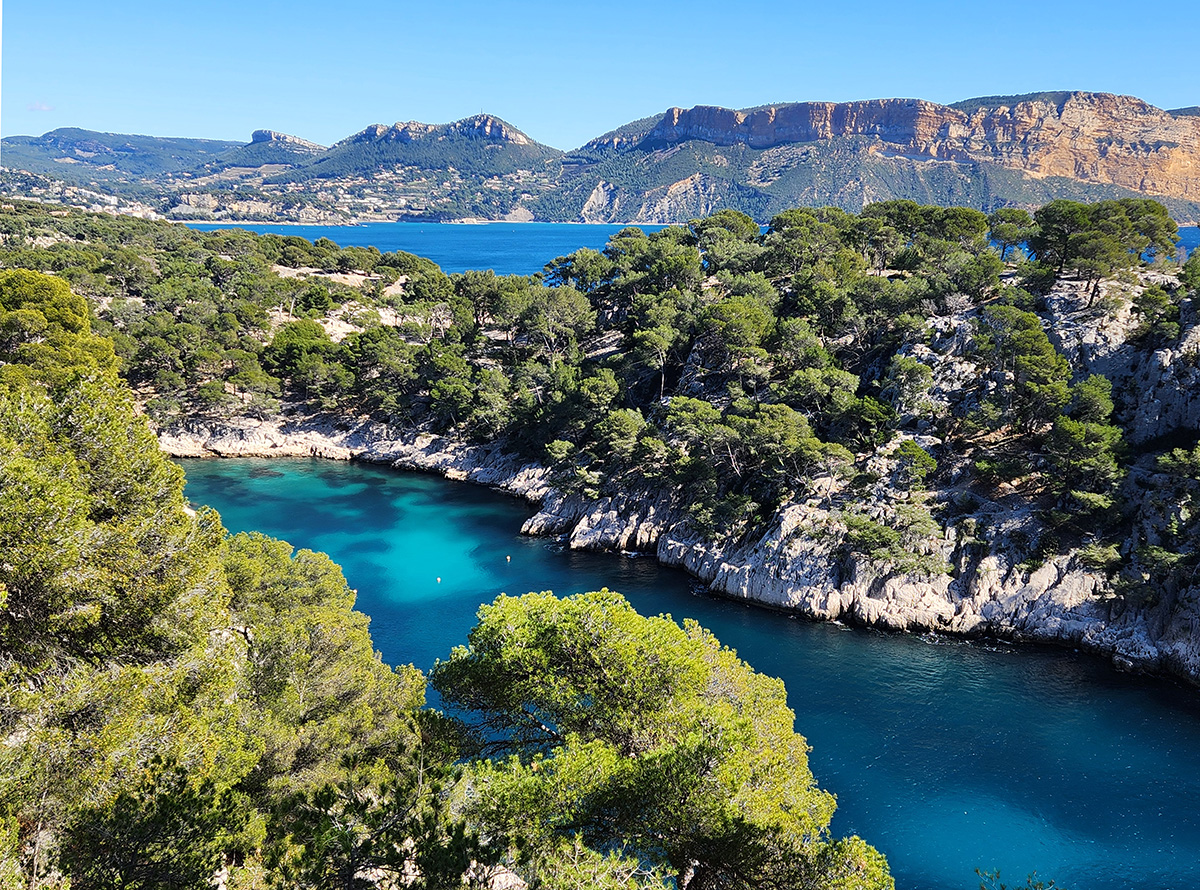 The Calanques in France: A Geographical and Botanical Wonder