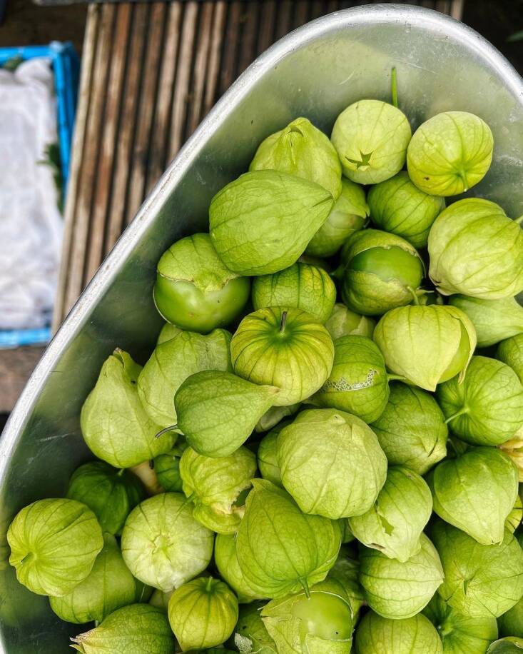 A July harvest of tomatillos. Photograph via @claireratinon.