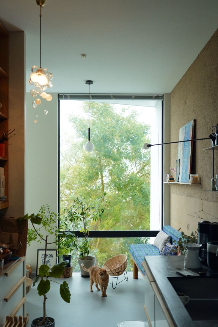 Photograph by Satoshi Shiraharma, courtesy of Akira Tani and Kim Hyunsook, from In Tokyo, Two Design Store Owners Build a Modernist House for Themselves and Their Feline Family.