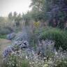 A Garden from Scratch: How to Begin the Plant Selection Process