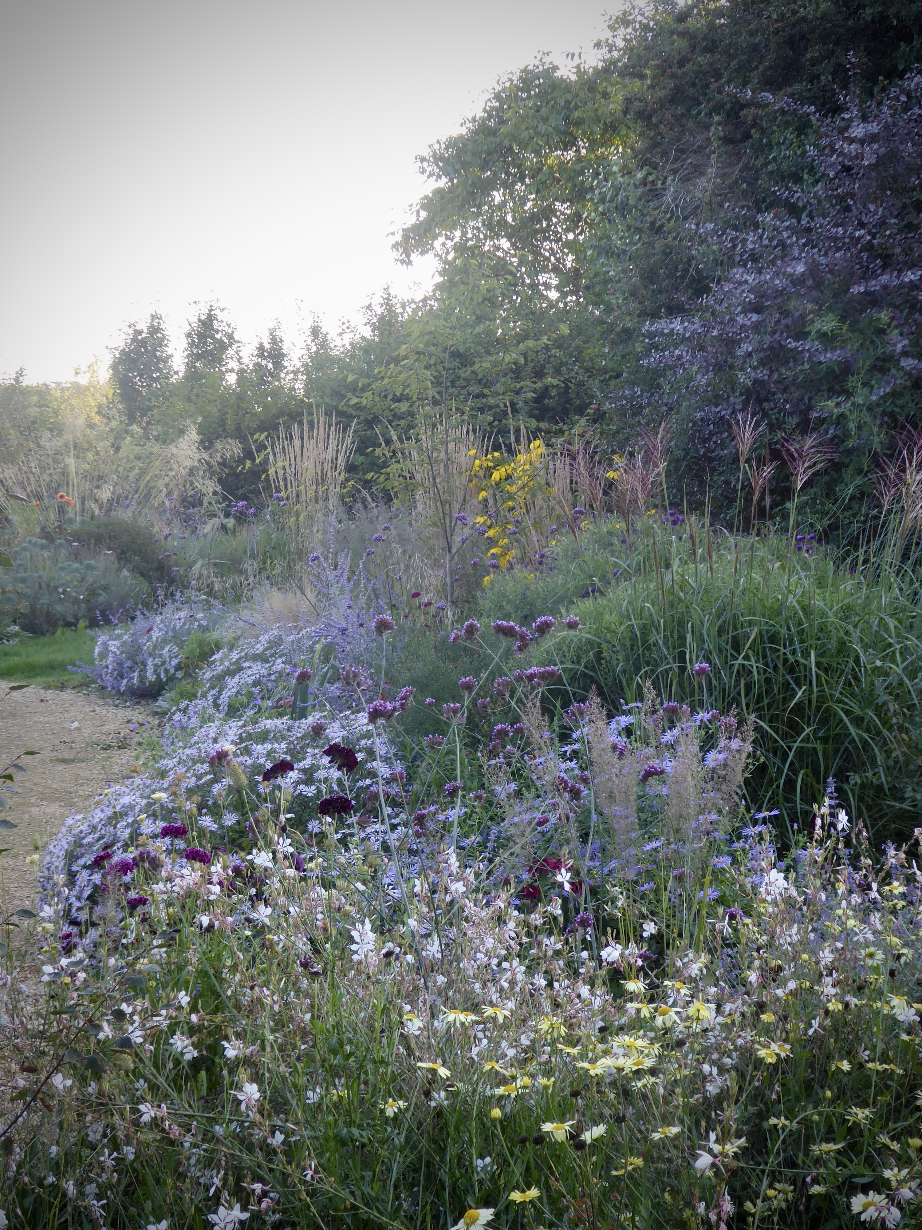 Garden from Scratch: How to Choose the Type of Plants You Need in Your Landscape