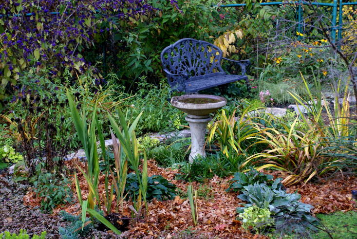 Fallen leaves gathered from the yard and placed in a garden bed. Photograph by jacki-dee via Flickr.