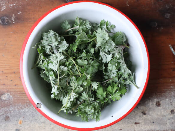 Spring Mugwort: Loathe the Weed, Love the Delicacy