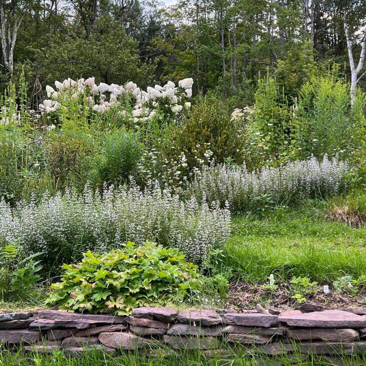 The couple knew nothing about gardening when they purchased their 4-acre property in Upstate NY—but they were diligent students, reading everything they could on plants and garden design. See Lessons Learned: The Founders of Gardenheir Share the Highs and Lows of Designing Their First Garden.