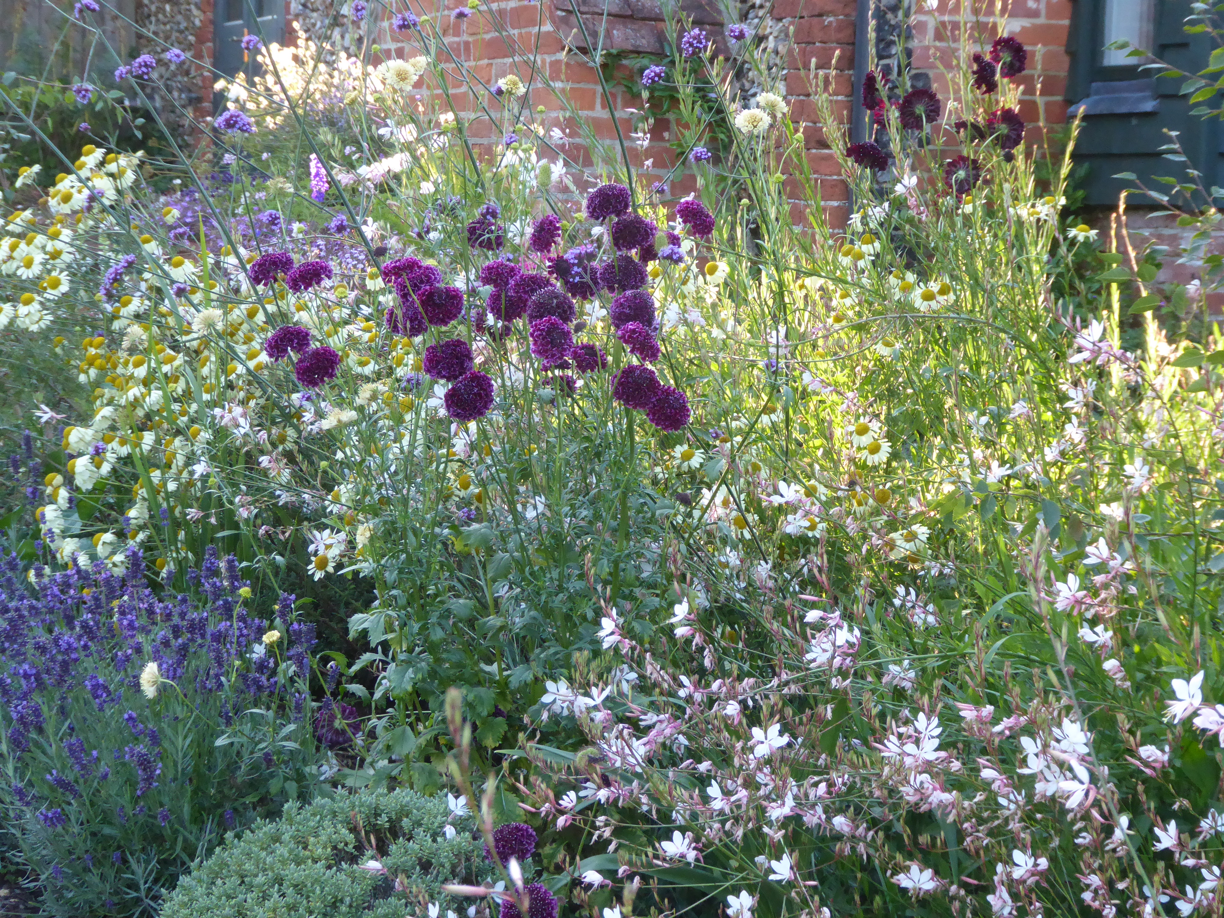 A Garden from Scratch: How to Choose the Plants and Put Them Together