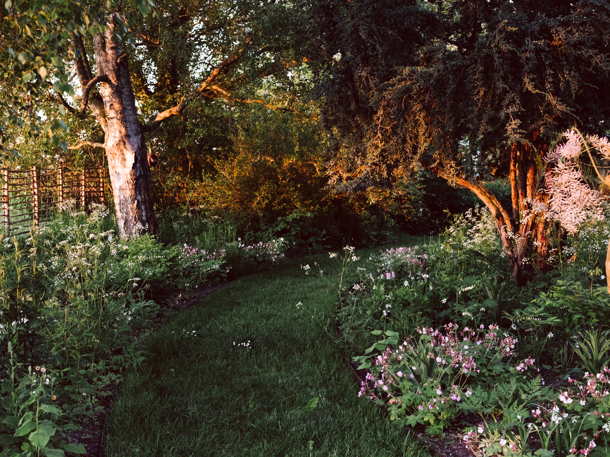 Beyond the Meadows: An Inspiring New Book by the Homesteaders Behind Krautkopf