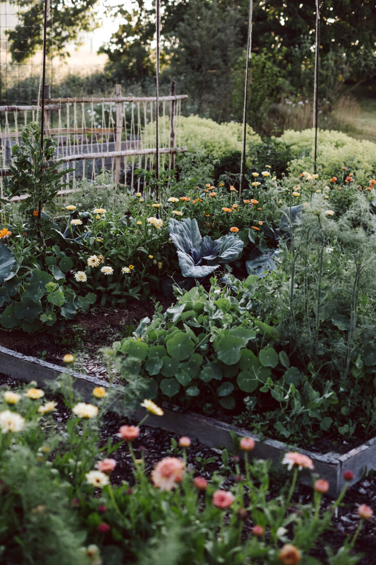 Each chapter tackles a different area of their property: the front garden, the orchard (they inherited a grove of fruit trees), the small woodland, the wildflower meadow, the cut flower garden, and, of course, the kitchen garden, which gets the biggest chapter. Pictured here is cabbage (Krautkopf, the name of their blog and photography company, is German for cabbage) and other vegetables growing alongside companion plants like marigolds, chamomile, and nasturtiums. &#8\2\20;The combination of different cultures is visually great to look at&#8\230;and has another, much more important added value: planting mixed cultures allows us to protect the soil and prevent diseases,&#8\2\2\1; they write.