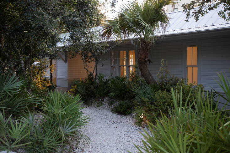 A mix of sand live oak, Sabal palm, saw palmetto, southern shield fern, rusty lyonia, and false rosemary in Seaside, Florida. All these native plants thrive in sandy soils with minimal water needs. Photograph by Brittany Godbee, courtesy of Dept. Landscape Architecture and Urban Design, from Ask the Experts: \1\1 Favorite Native Plant Combinations.