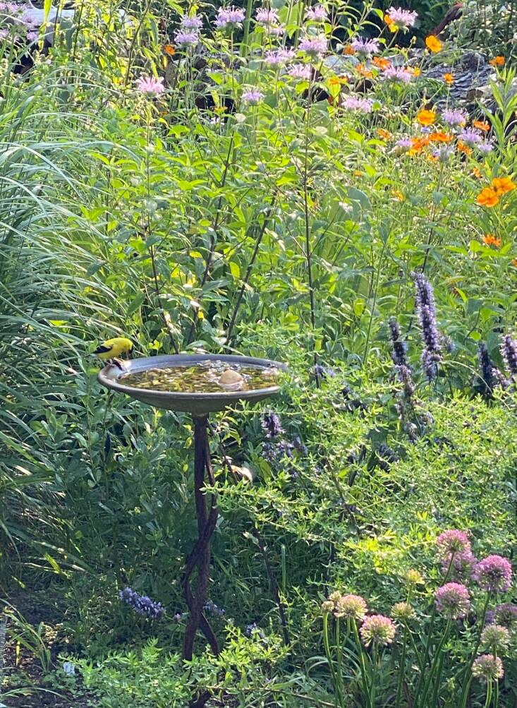 A place for thirsty wildlife in Edwina&#8217;s own garden in Springs, NY. Photograph by Edwina von Gal.