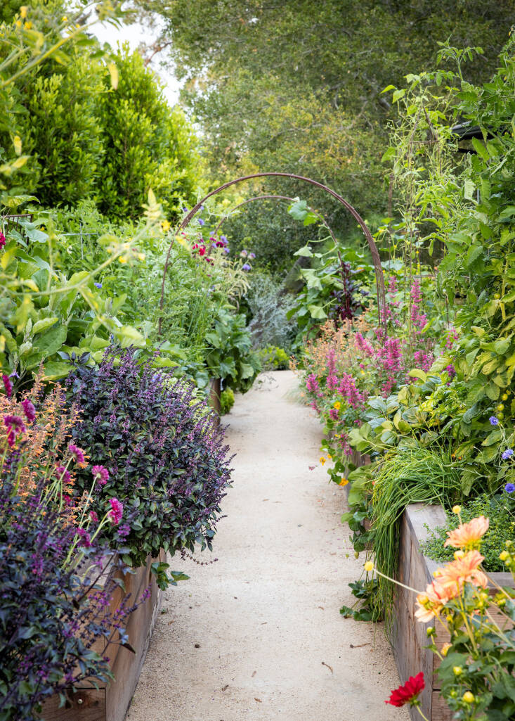 Pine House Edible Gardens is known for designing vegetable gardens that feature both beauty and bounty.