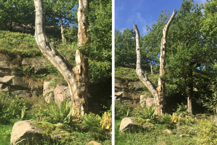 An artful snag at the Gothenburg Botanical Garden. Photographs by Carrie Preston/Studio Toop.