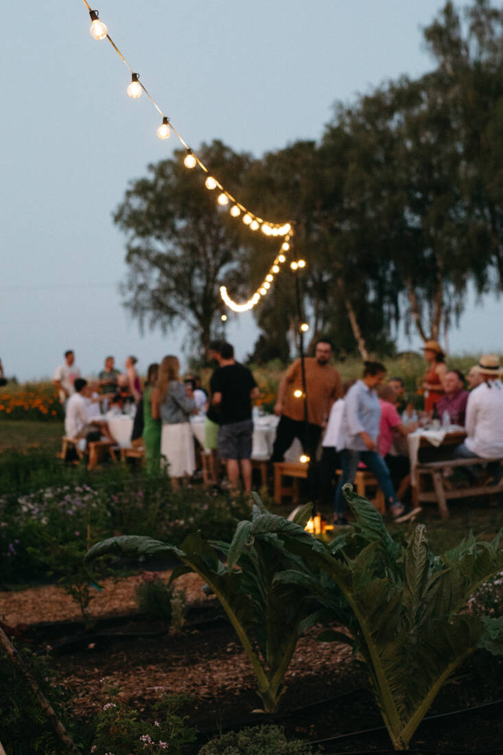 This season, Island Farm Studio is focusing on fostering accessibility. &#8\2\20;We aim to create a safe space for community members and artists to connect with nature through events like outdoor gallery evenings showcasing local artwork inspired by the land.&#8\2\2\1; 