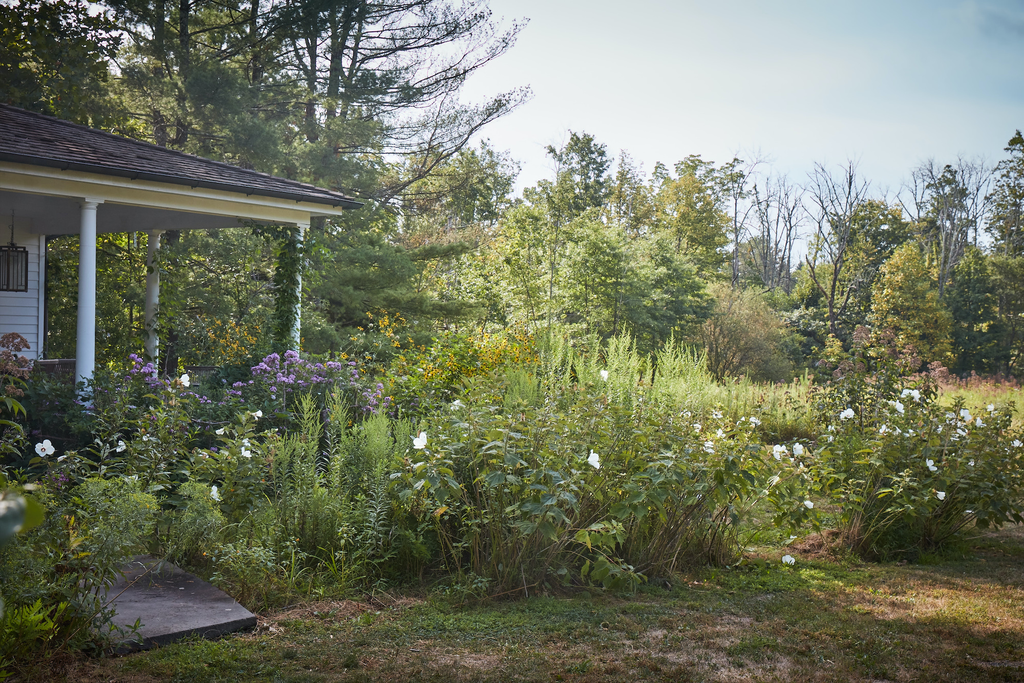Tama Matsuoka Wong’s ‘Into the Weeds: How to Garden Like a Forager’
