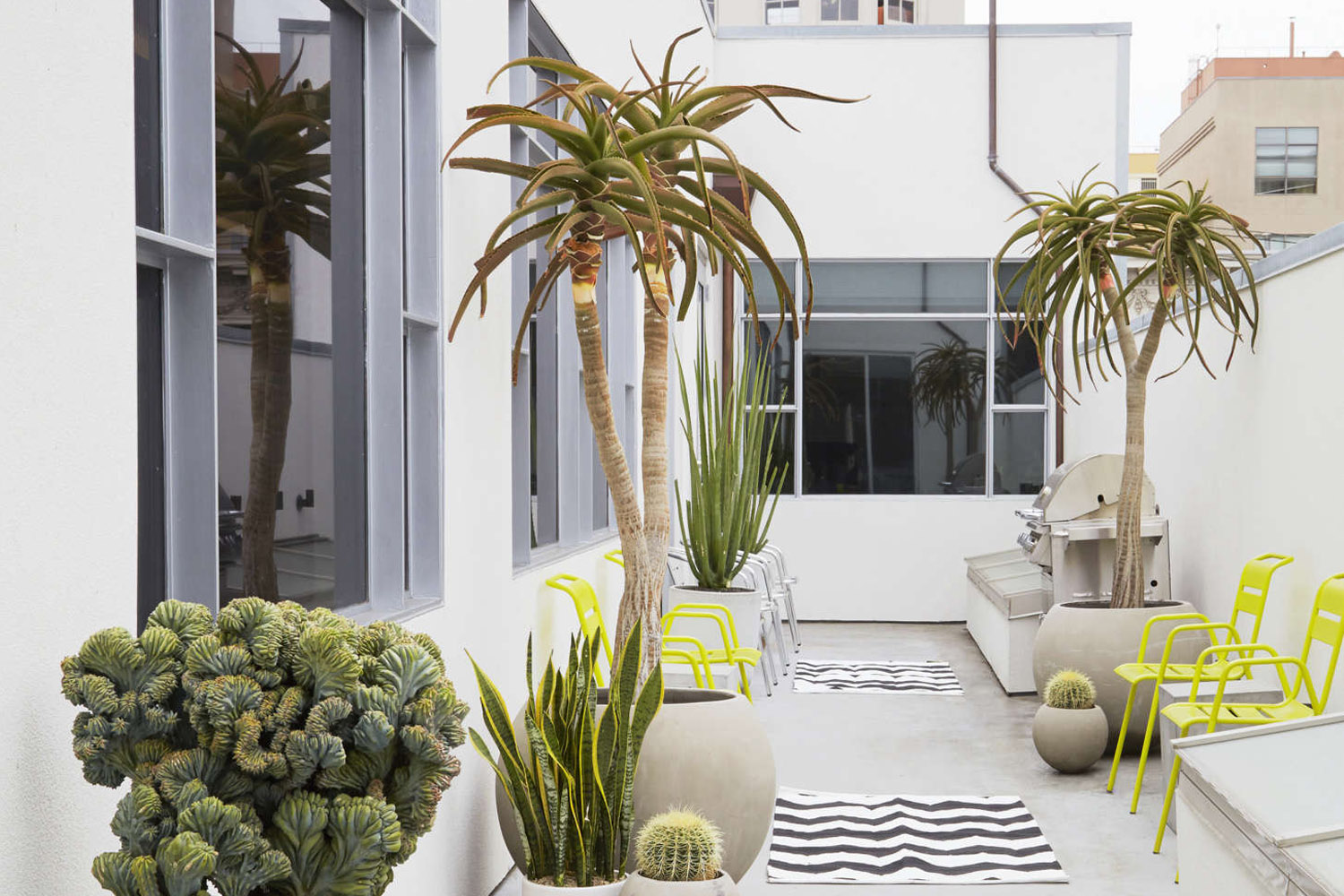 Small Container Garden Balcony in San Francisco: Steal This Look