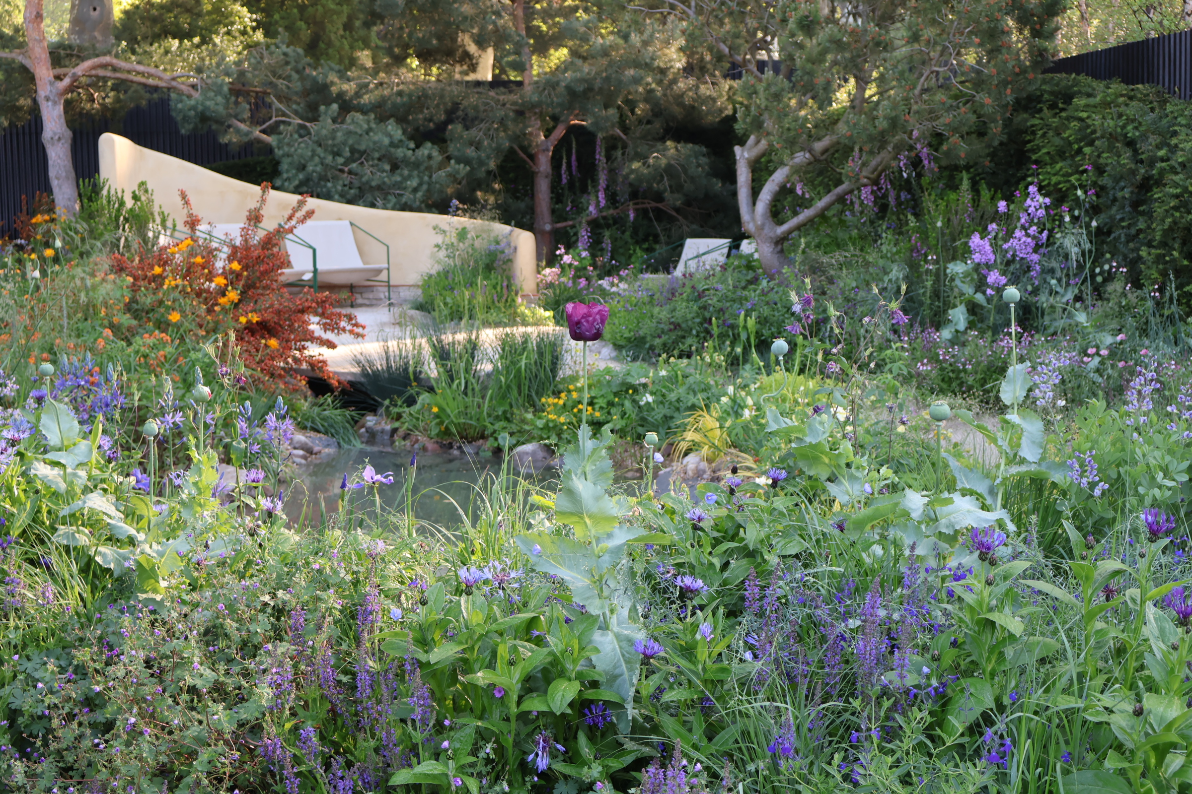 Chelsea Flower Show: The Best Ideas From 2024’s Show Gardens