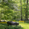 Ideas to Steal: 8 Tips from Leslie Needham on Designing Gardens that 'Blur the Edges'