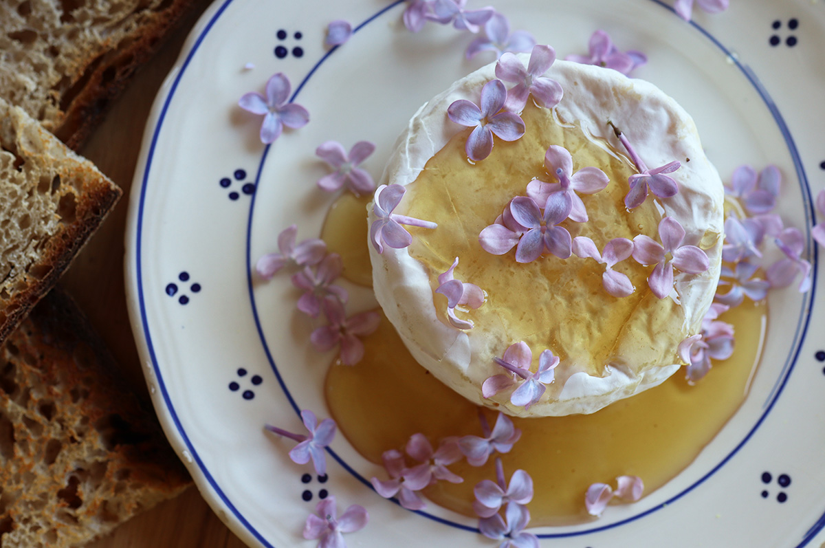 Lilac Honey: A Delicious Infusion Recipe that Captures Lilacs’ Heady Scent