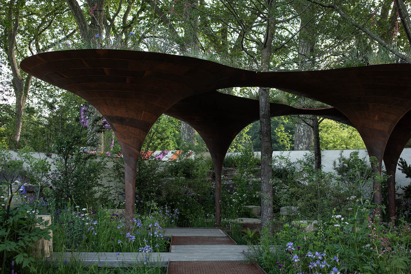 Tom Massey’s Water Aid Garden at the 2024 Chelsea Flower Show