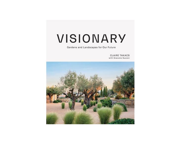 Visionary is in stores now.