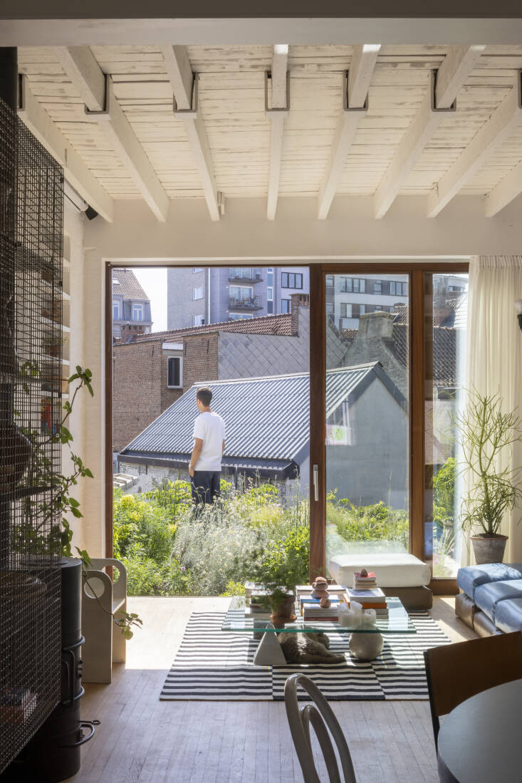 The view from the second floor, which houses the living room and kitchen, to the green roof.